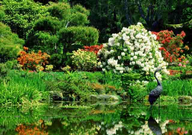 明尚网络科技与天善商务共同捐赠物资，让孩子们拥有更好的教育