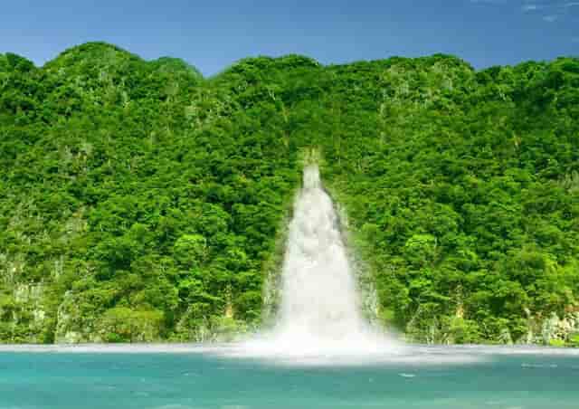 袖虎宠物攻略：猫咪突然过于反应激烈是怎么回事？