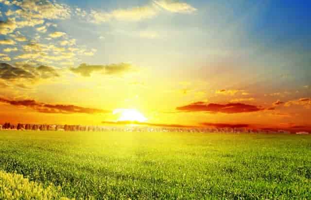 婚姻中的女人都是怎样的(女人不管钱婚姻会怎样)