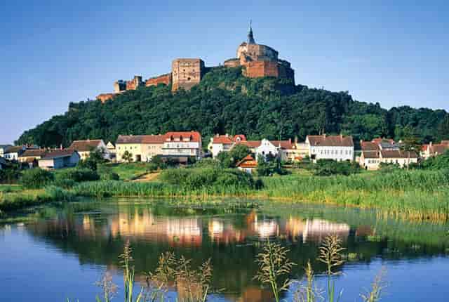 袖虎病猫攻略：猫咪驱虫药选择