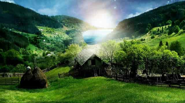 袖虎病猫攻略：猫咪打喷嚏别轻视