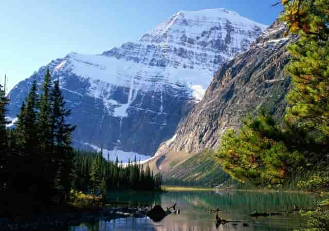 番茄鸡蛋缺点(鸡蛋炒番茄)