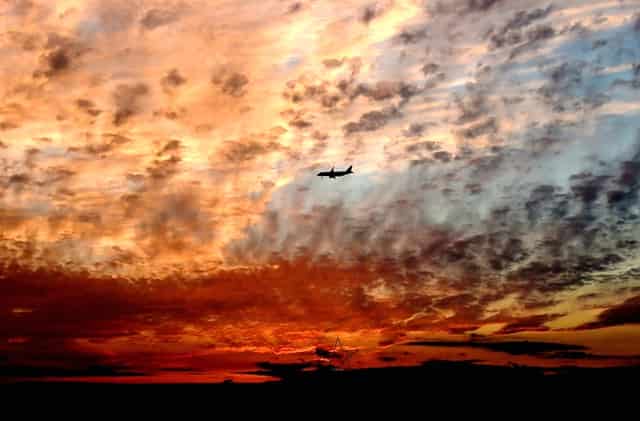 生物股份三季度(生物股份三季度财报)