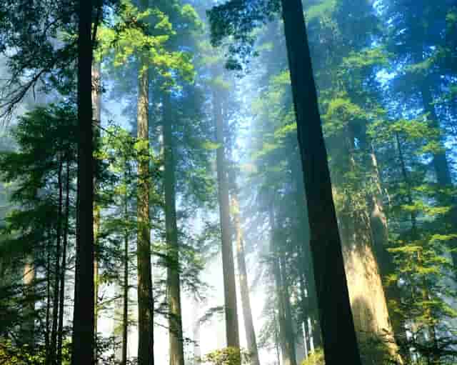 万国葡计——ZF实力演绎