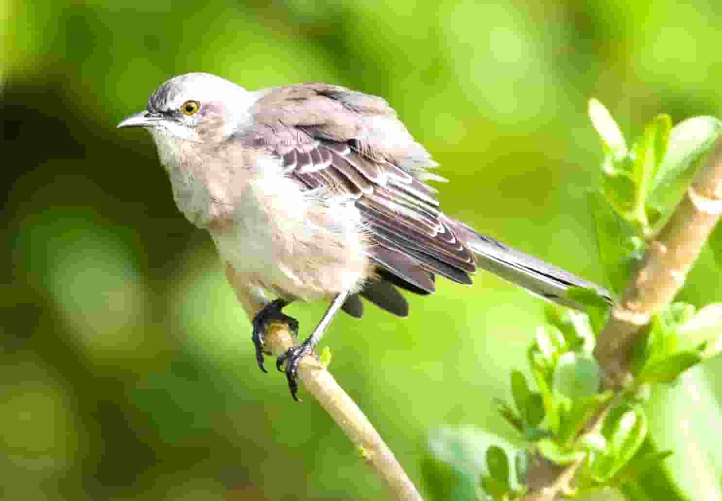 掌上世界杯火热来袭 枞横世界杯预测锦标赛进行中