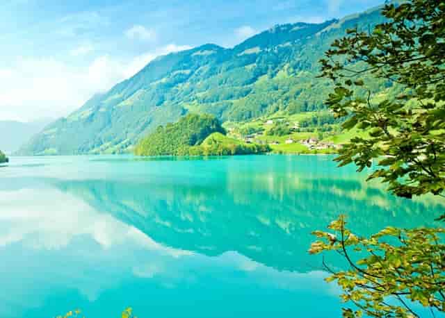 广州队对沧州雄狮直播(广州队3-4负沧州雄狮)