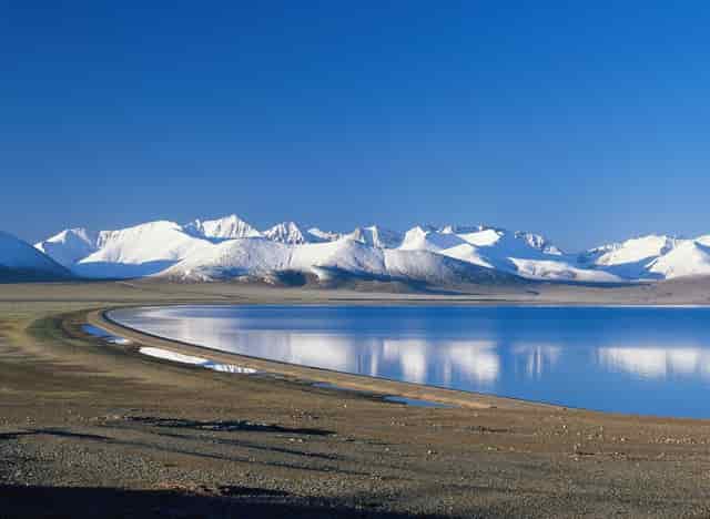 袖虎病猫攻略：毛球症