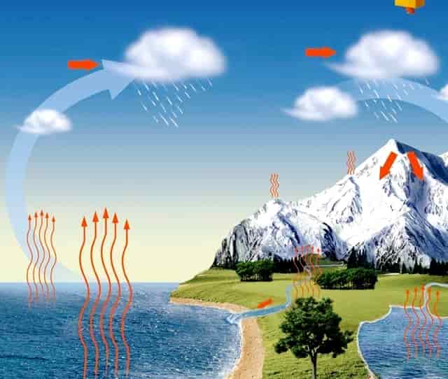 袖虎宠物解谜：猫咪的无精打采掩盖了什么问题？