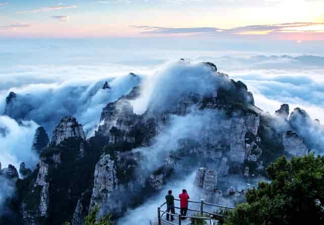 袖虎病猫攻略：猫预防保健，这个东西少不了