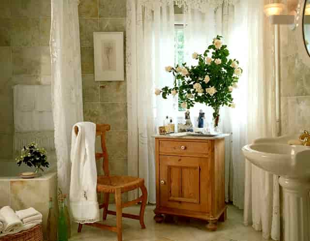 袖虎病狗攻略：犬瘟热是怎么回事