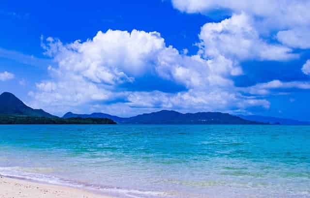 王一博在线赶粉(王一博男粉多吗)