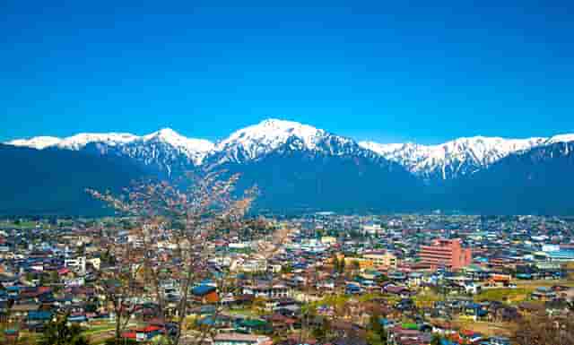 科创板相关信息(科创板信息公开)