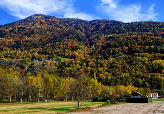 口腔名医站：看牙不拍片就像开车无驾照