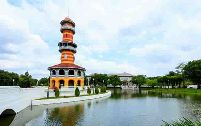 袖虎病猫攻略：猫不正常掉毛的五大原因，你知道几个？