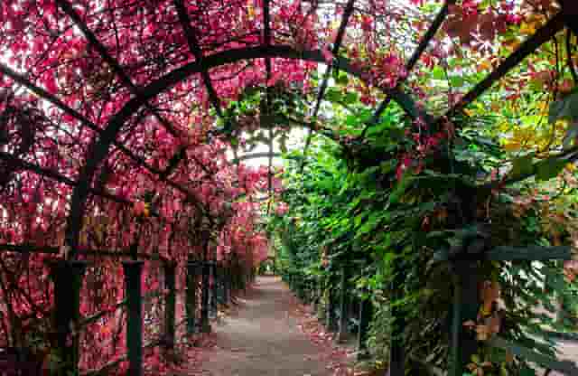 帝师讲述口罩原材料