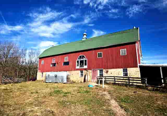 袖虎病猫攻略：怀孕养猫咪就一定会感染弓形虫吗？