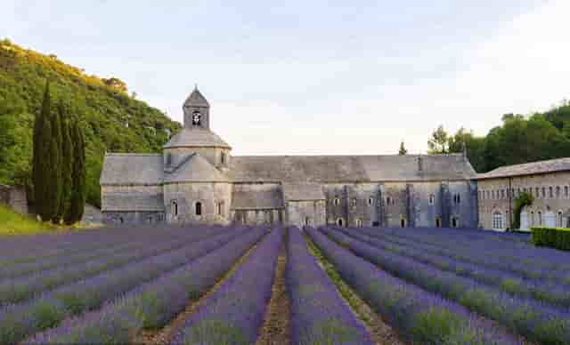 西比曼在2023AACR首次公布其全新的用于治疗晚期肝细胞癌CAR-T产品的I期临床试验数据