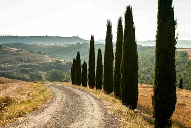 郑州还有什么城市暴雨(郑州暴雨强度公式)