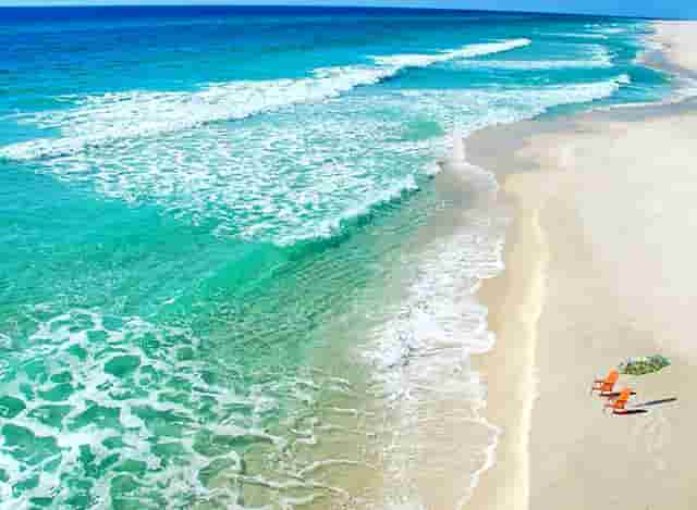 袖虎病猫攻略：猫耳朵大面积掉毛是为什么