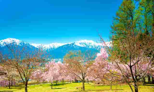 LNG薄膜液货围护系统技术-中太海事技术尚任重道远