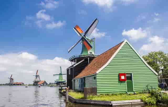 袖虎病猫攻略： 猫打喷嚏怎么办