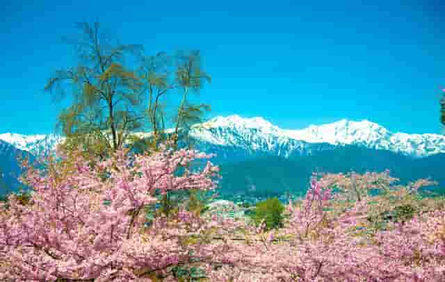 手机拒接可以收到短信吗(手机如何拒接短信)