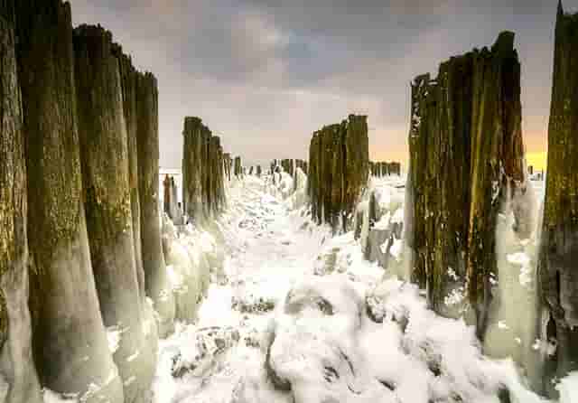 音乐剧《乳香飘（暂定名）》研讨会在内蒙古文联召开