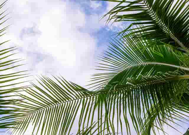 考研其他专业可以吗(学医的考研可以考其他专业吗)