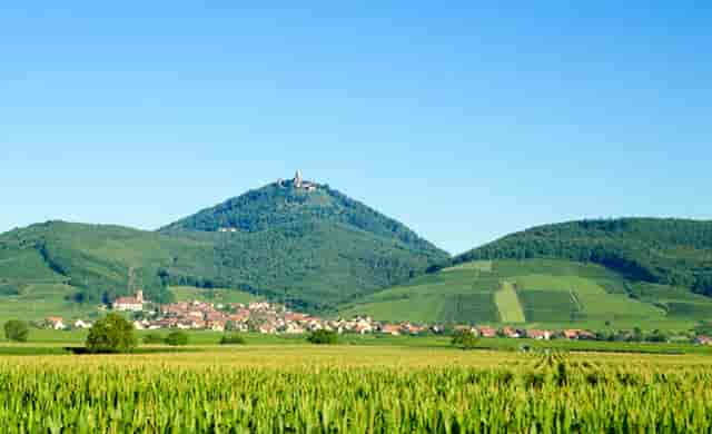 西比曼生物TIL疗法C-TIL051获FDA批准临床，针对非小细胞肺癌