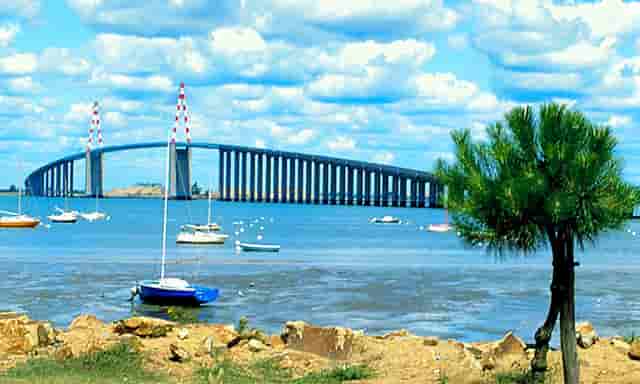 袖虎宠物店揭秘行业骗局：开宠物店有没有暴利？(1)