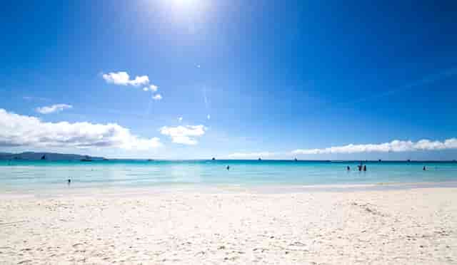 袖虎病猫攻略：脸黑不是病，重点色要了解