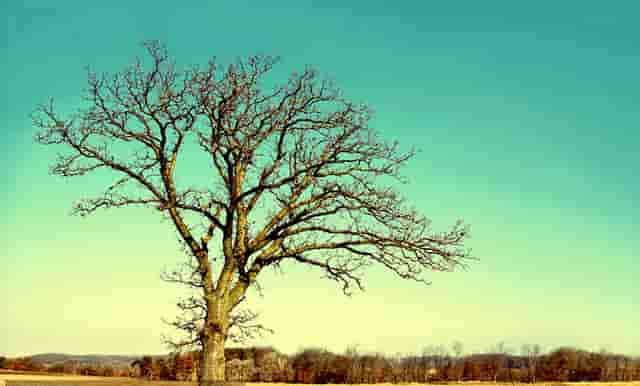 成人开具儿童药(儿童可以用成人药吗)