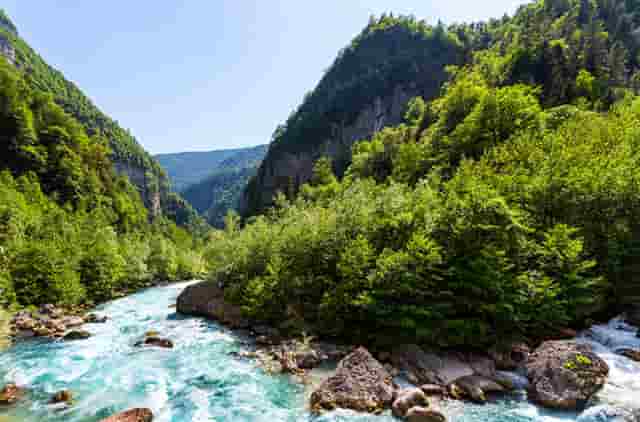 跨性别选手举重(俄罗斯举重女选手 性别)