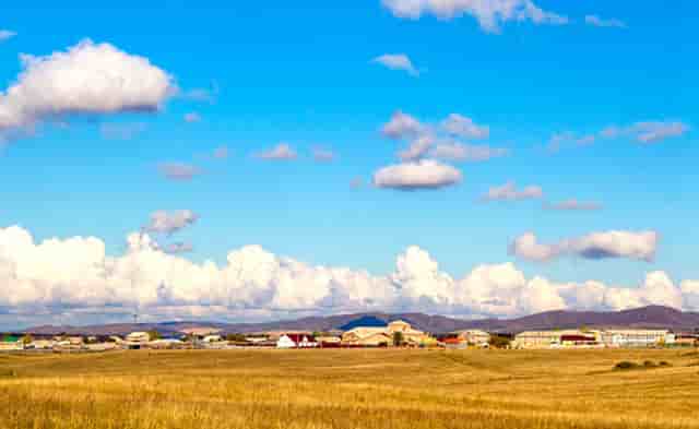 袖虎病猫攻略：猫咪怀孕的前兆有哪些