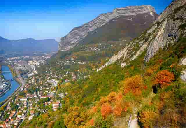 袖虎病猫攻略：猫什么情况会得狂犬病？被咬了要打针吗？