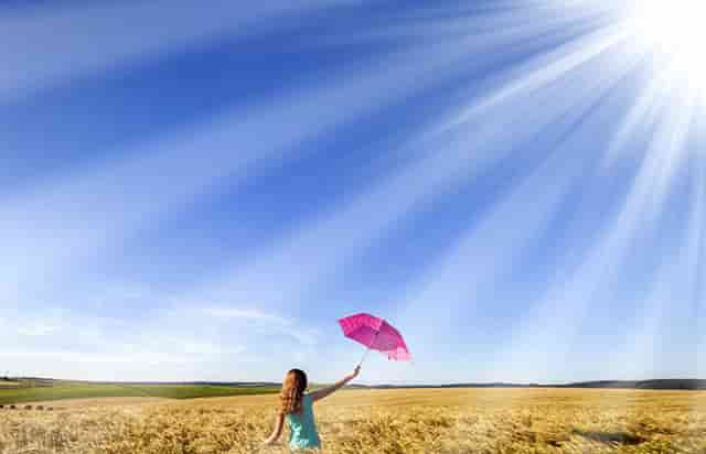 袖虎病猫攻略：猫咪牙结石的处理方法