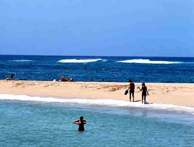 袖虎病猫攻略：泪痕重的就是病猫吗？