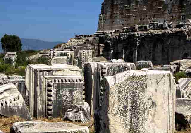 免疫药为什么用不了(asmr为什么会免疫)