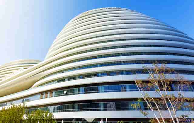 袖虎病猫攻略：猫咪突然不吃东西，很可能是这个原因