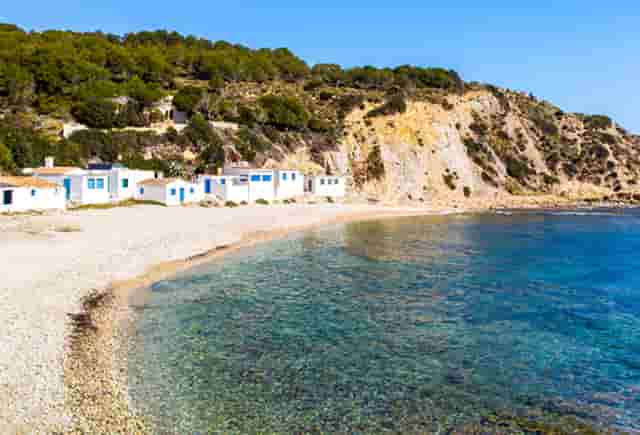 袖虎病猫攻略：如何治疗猫耳螨？找对方法不用愁