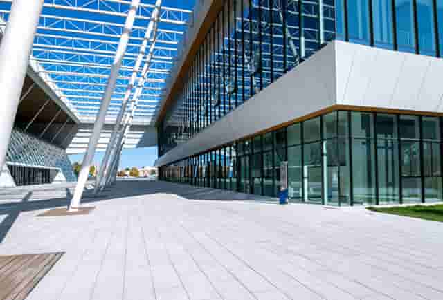 袖虎病猫攻略：猫鼻支要终身隔离吗