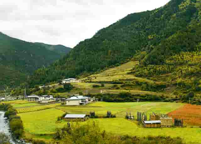 西比曼正式宣布启动脂肪间充质干细胞产品AlloJoin®的III期临床试验