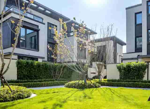 王者荣耀秋蝉推荐