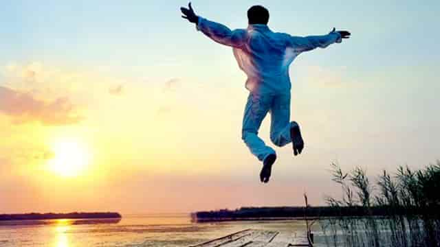 袖虎病猫攻略：小心换粮会软便！